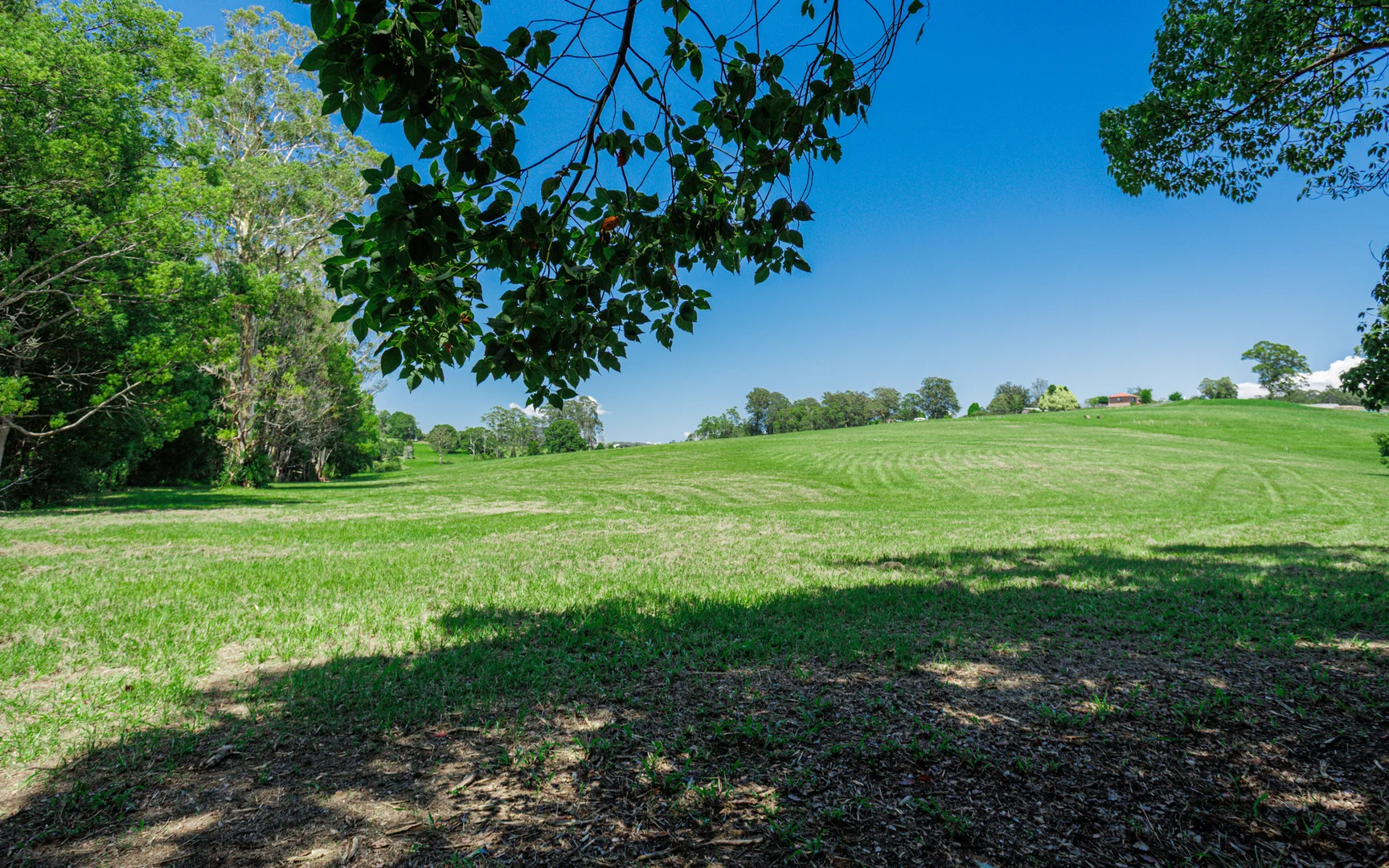 Additional image 4 of 62 Whistler Place, Bellingen NSW 2454