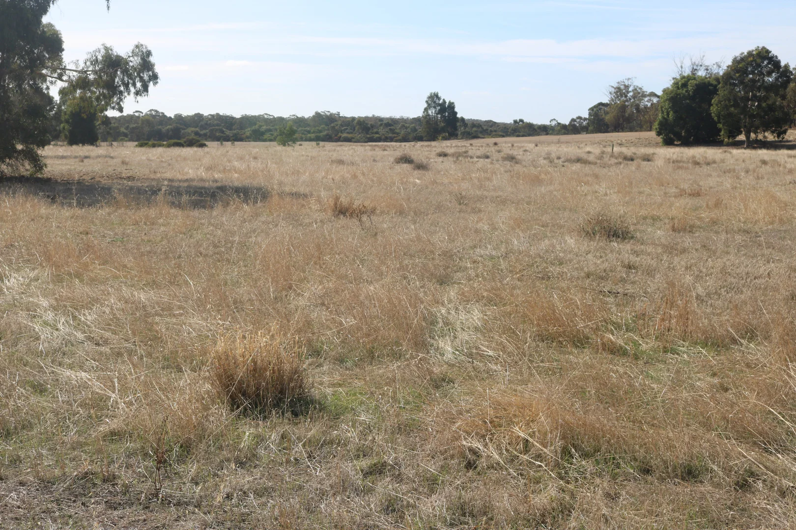 Additional image 23 of Old Boort Road, Wedderburn VIC 3518