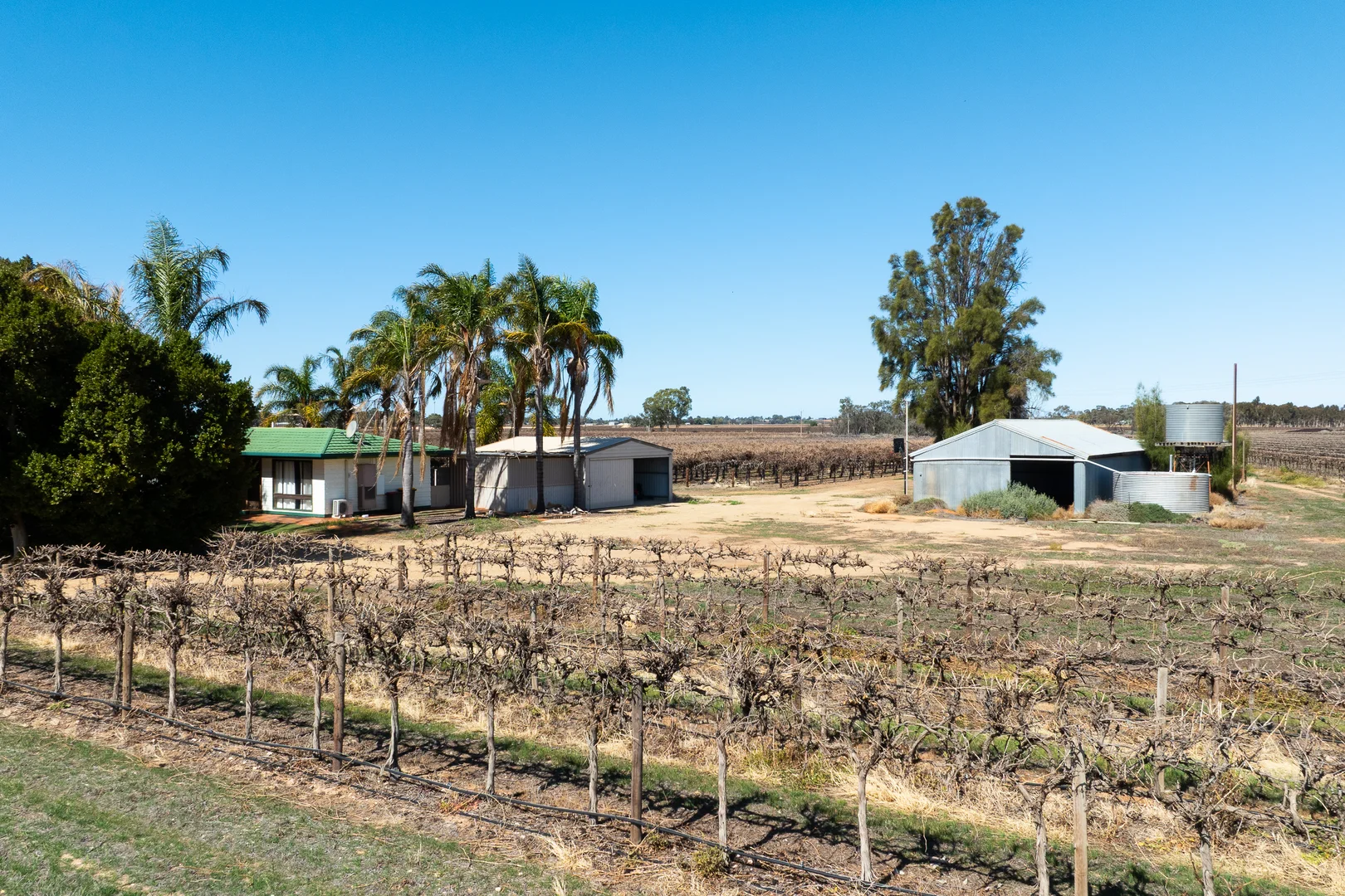 Additional image 26 of 41 Wutke Road, Cobdogla SA 5346