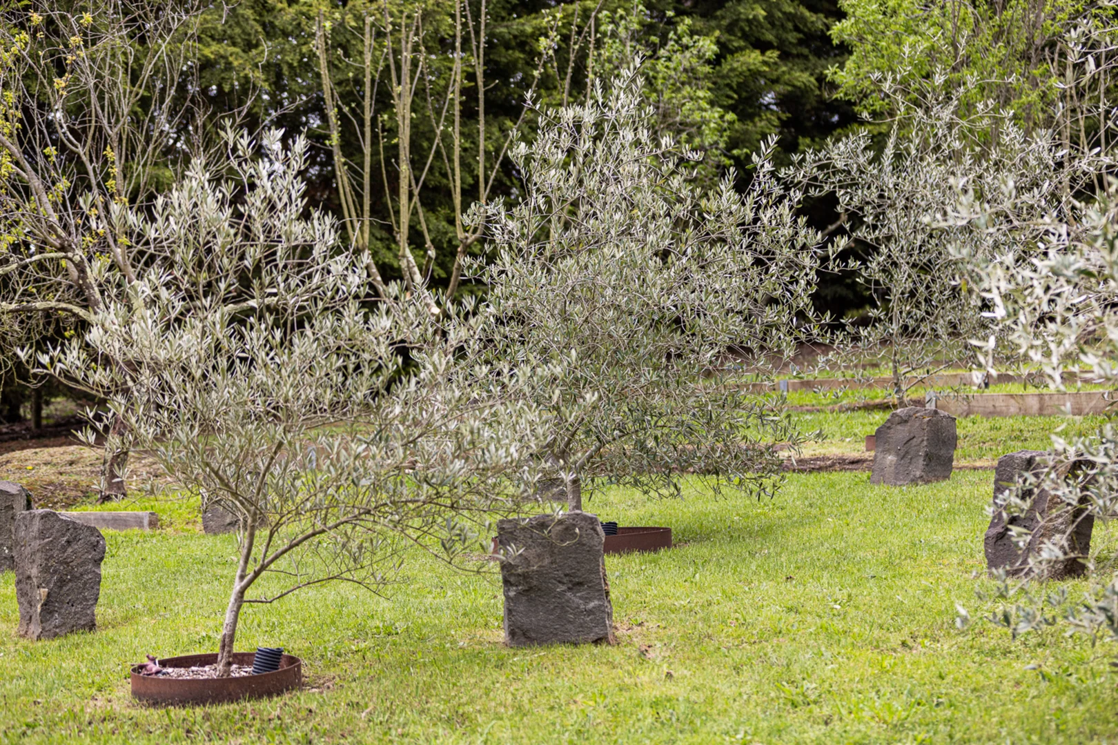 Additional image 28 of 9 Allan Street, Buninyong VIC 3357