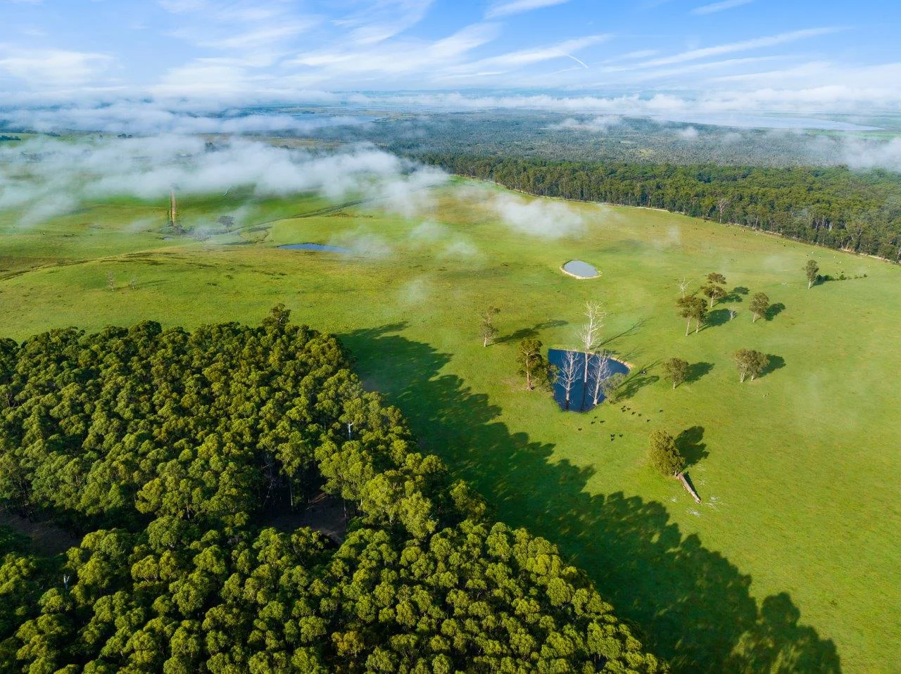 Additional image 20 of 393 & 428 Sandy Flat Road, Brodribb River VIC 3888