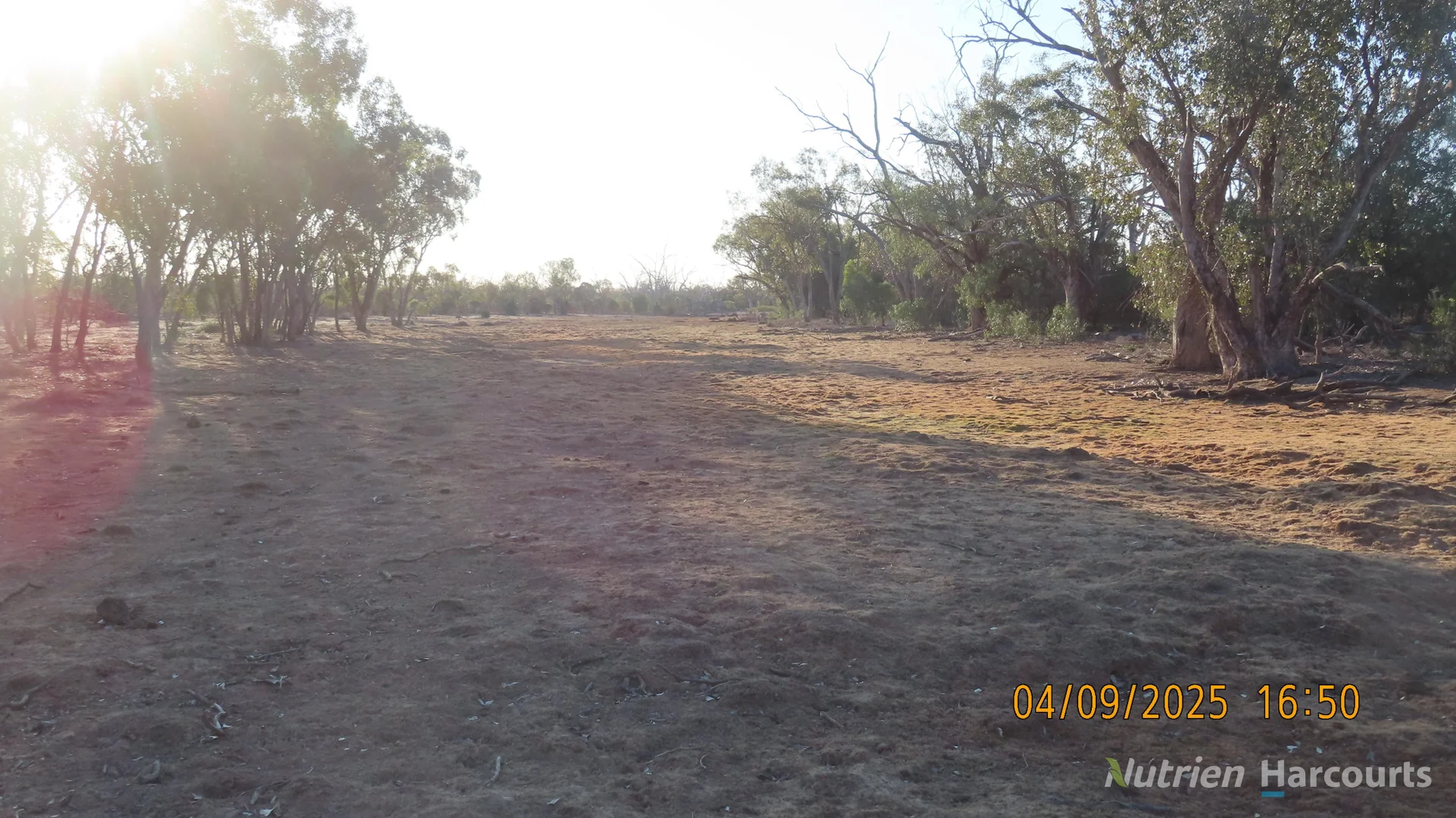 Additional image 9 of * MUD HUT, Bourke NSW 2840