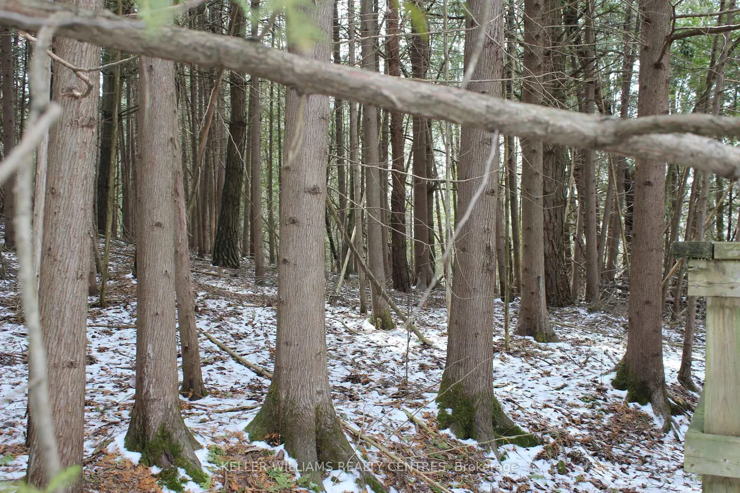 Additional image 10 of Tba Concession Rd 2