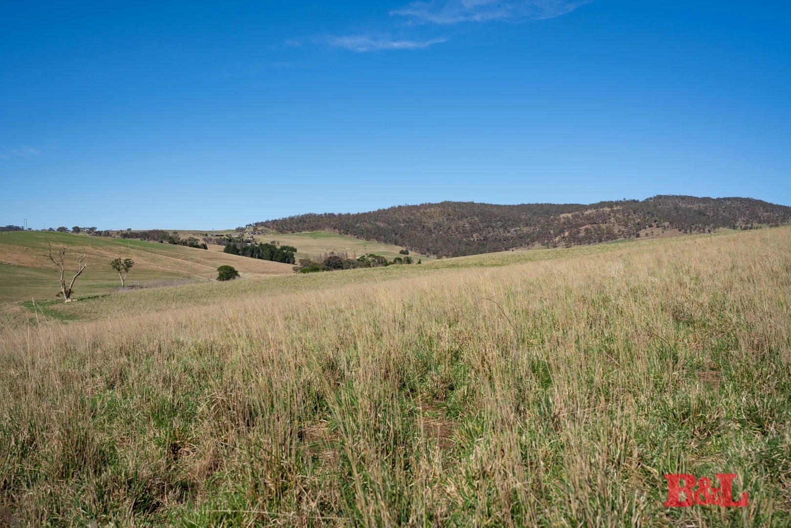 Additional image 13 of 976 Sodwalls Road, Sodwalls NSW 2790