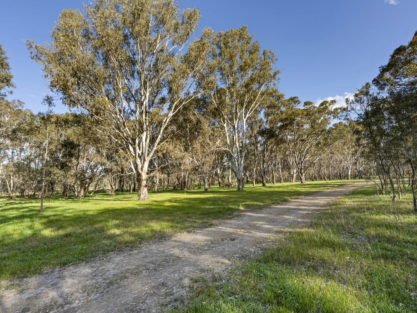 Additional image 6 of 290 Riggs Creek Road, Balmattum via, Euroa VIC 3666