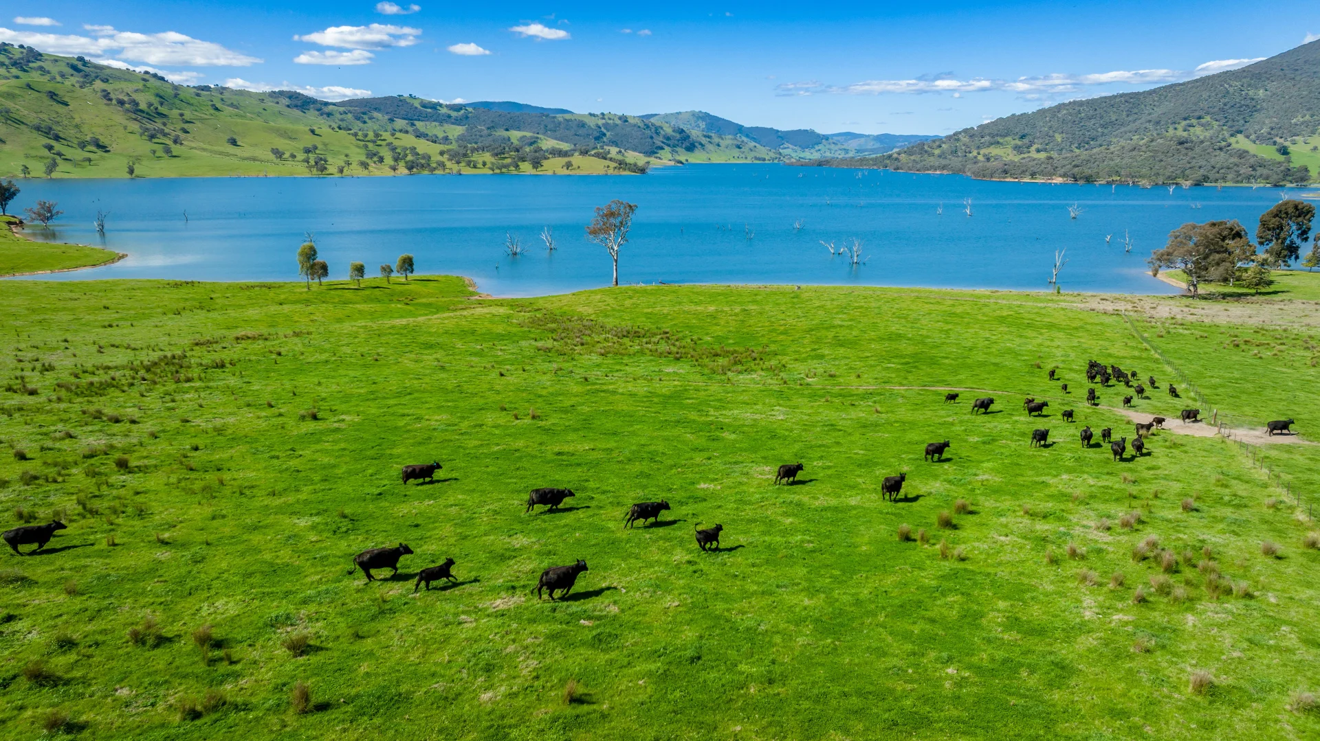 Additional image 2 of 'Inglebrae'/1523 Murray River Rd, Talgarno VIC 3691