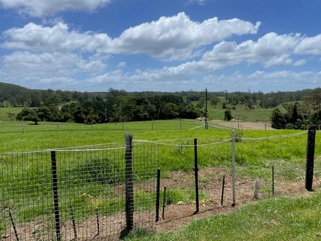 Additional image 30 of Lot 13/400 Bellthorpe West Road, Bellthorpe QLD 4514