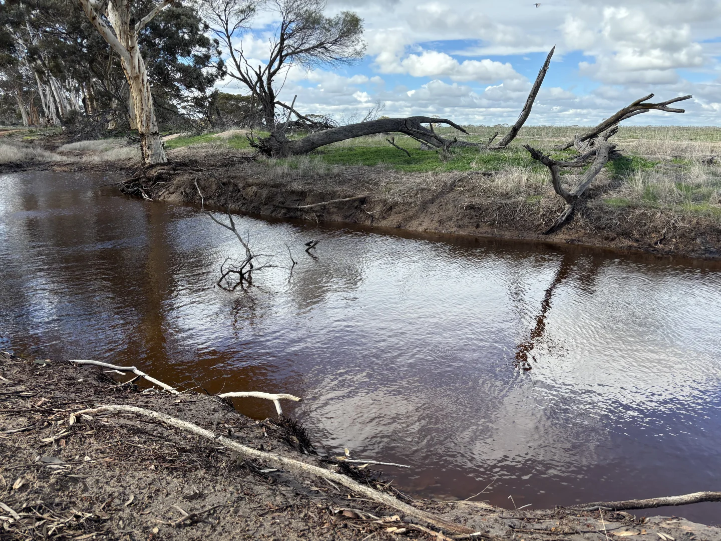 Additional image 2 of . 'Cobbers Soak', Quairading WA 6383