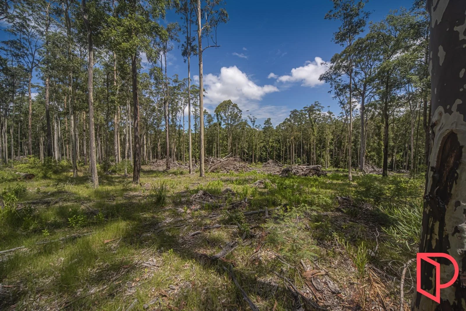 Additional image 3 of 42 Turpentine Road, Tomerong NSW 2540