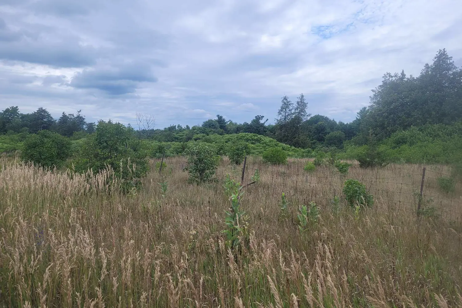 County Road 10, Lot 2