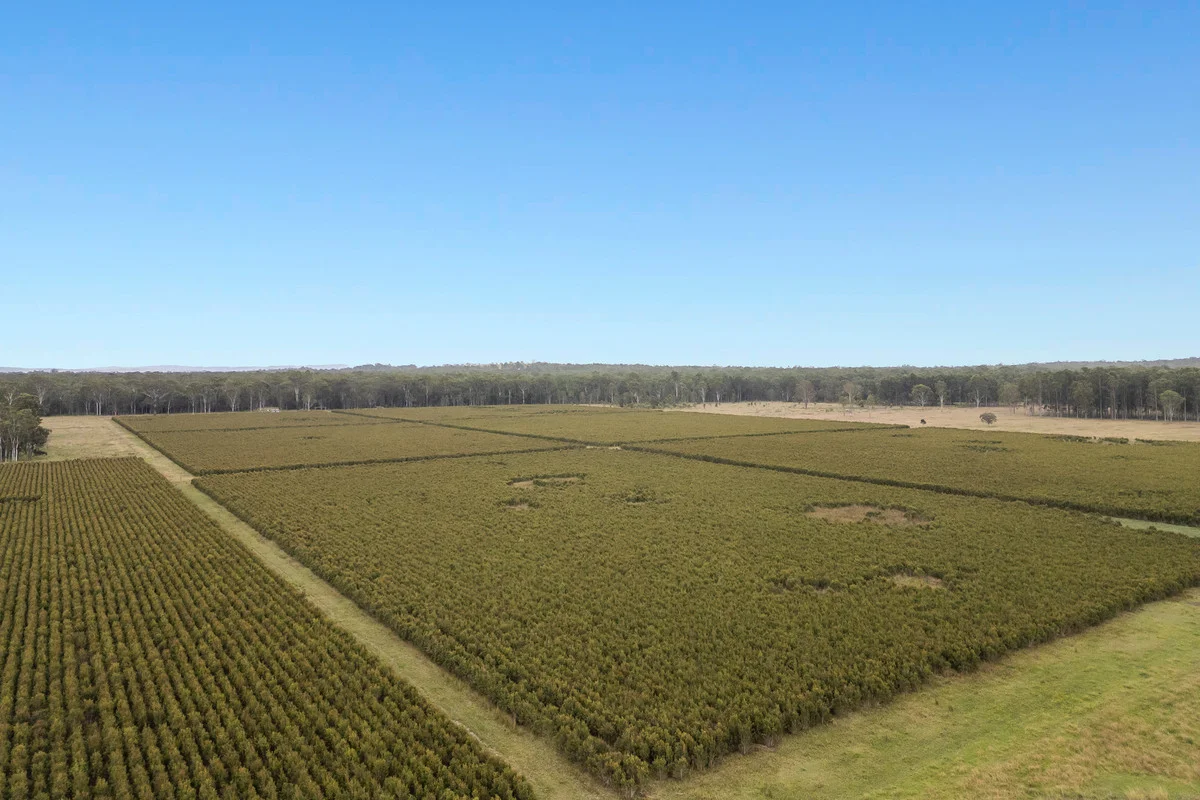 Additional image 41 of 8855 Summerland Way, Leeville NSW 2470