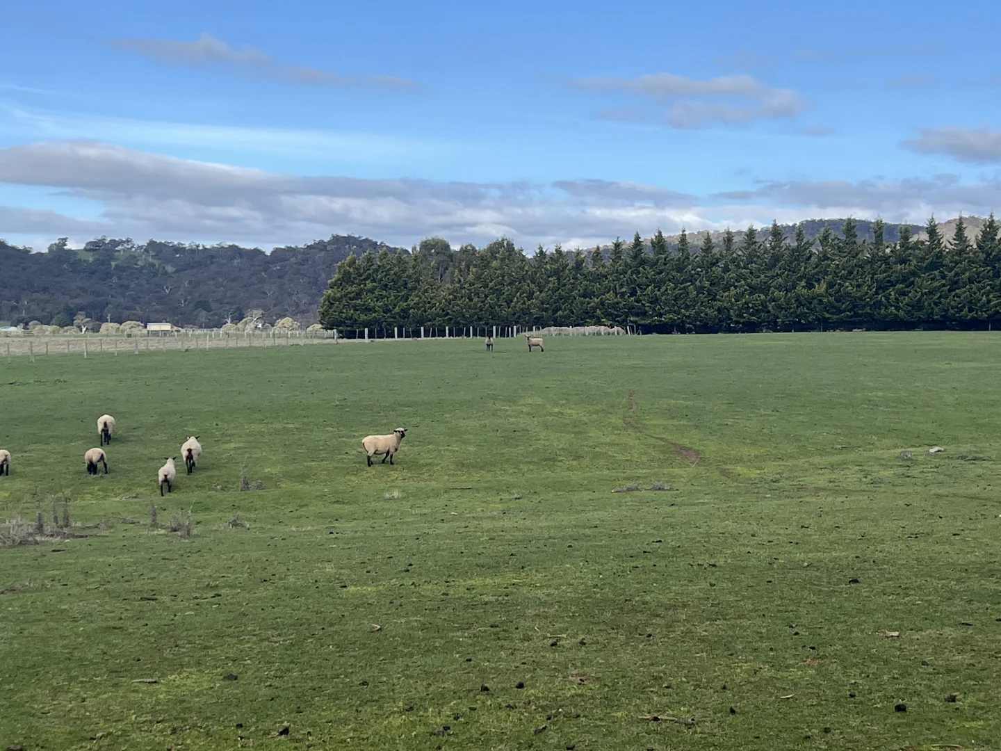 Additional image 12 of Lot 2 Grahams Road, Lancefield VIC 3435