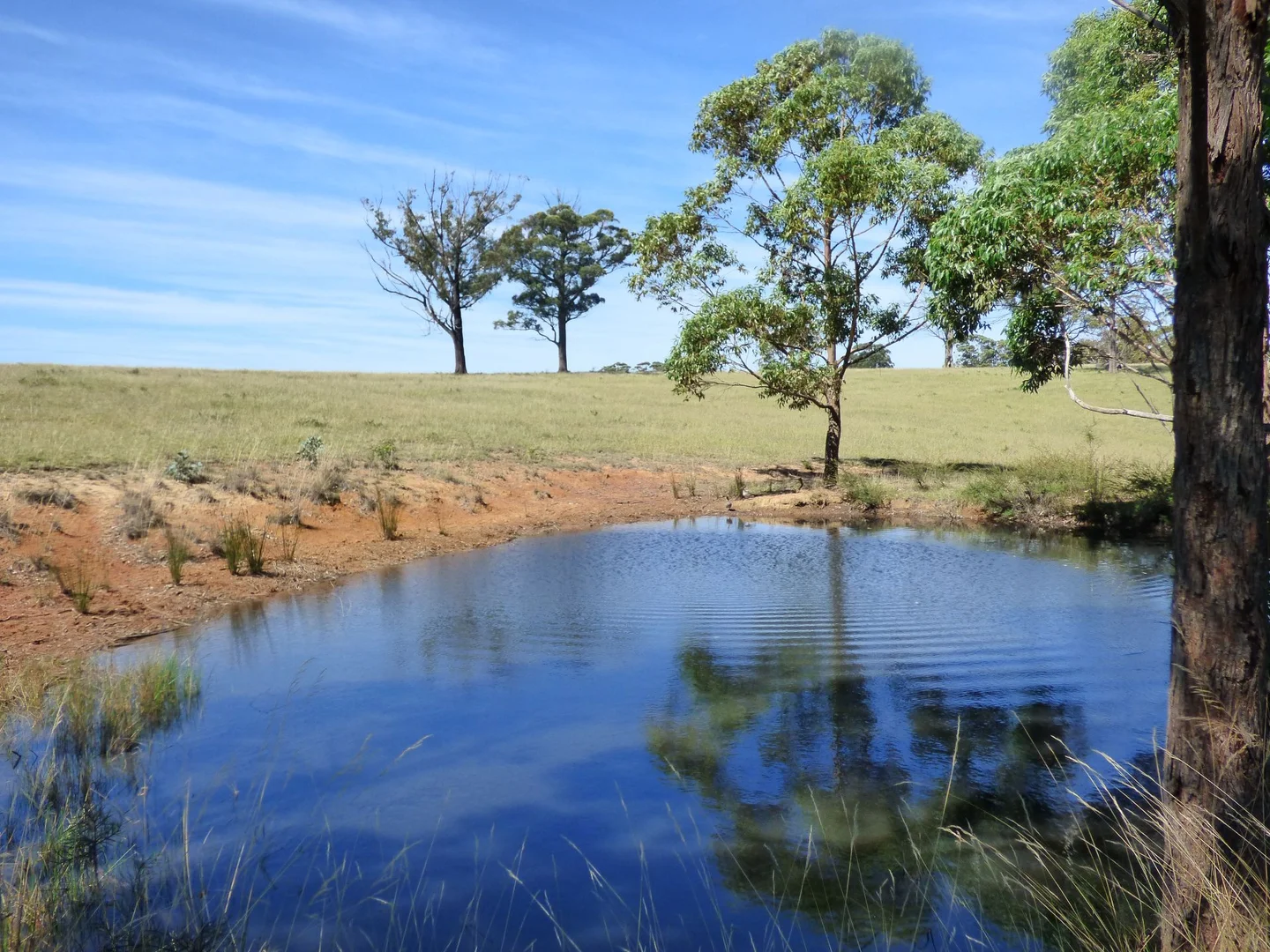 Additional image 14 of 218 Cabbage Tree - Conran Road, Cabbage Tree Creek VIC 3889