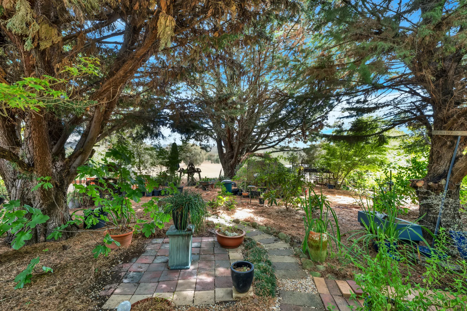 Additional image 24 of 3100 Maroondah Highway, Taggerty VIC 3714