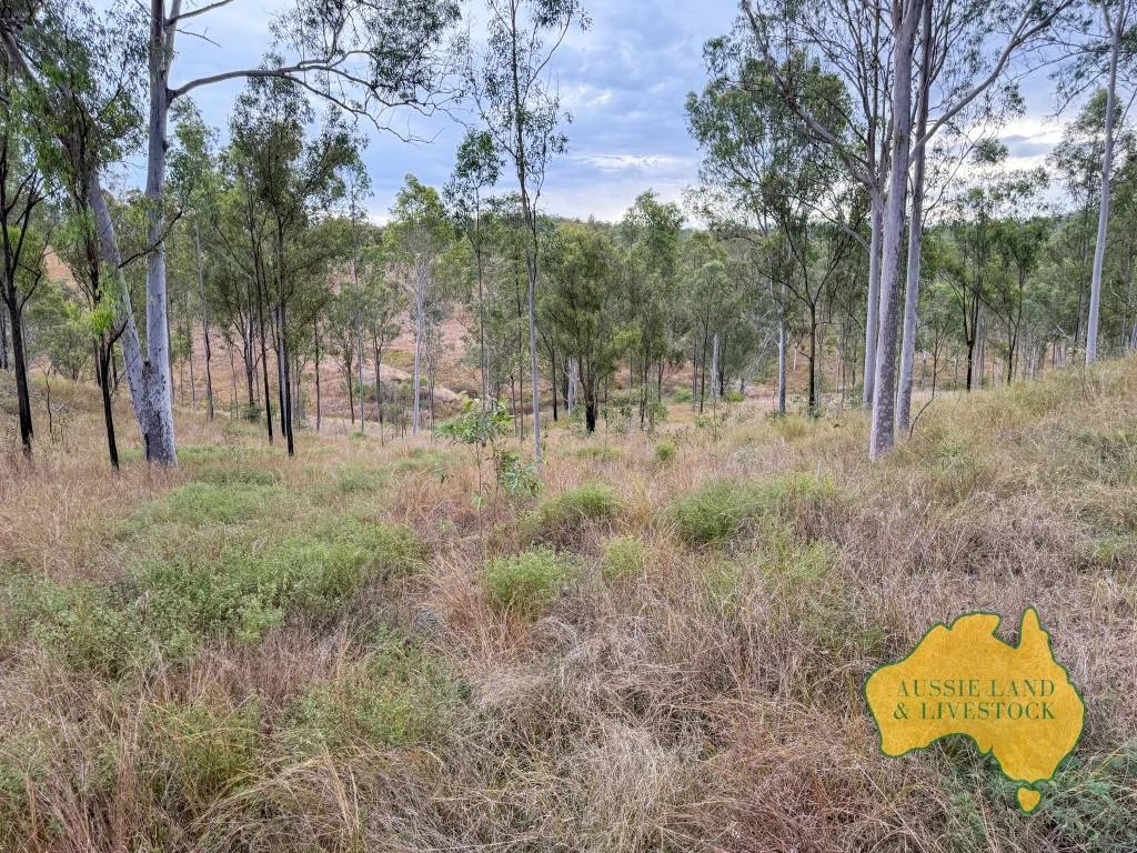 Additional image 6 of "Chapmans", Lot 14 Monto Mount Perry Road, Mungy QLD 4671