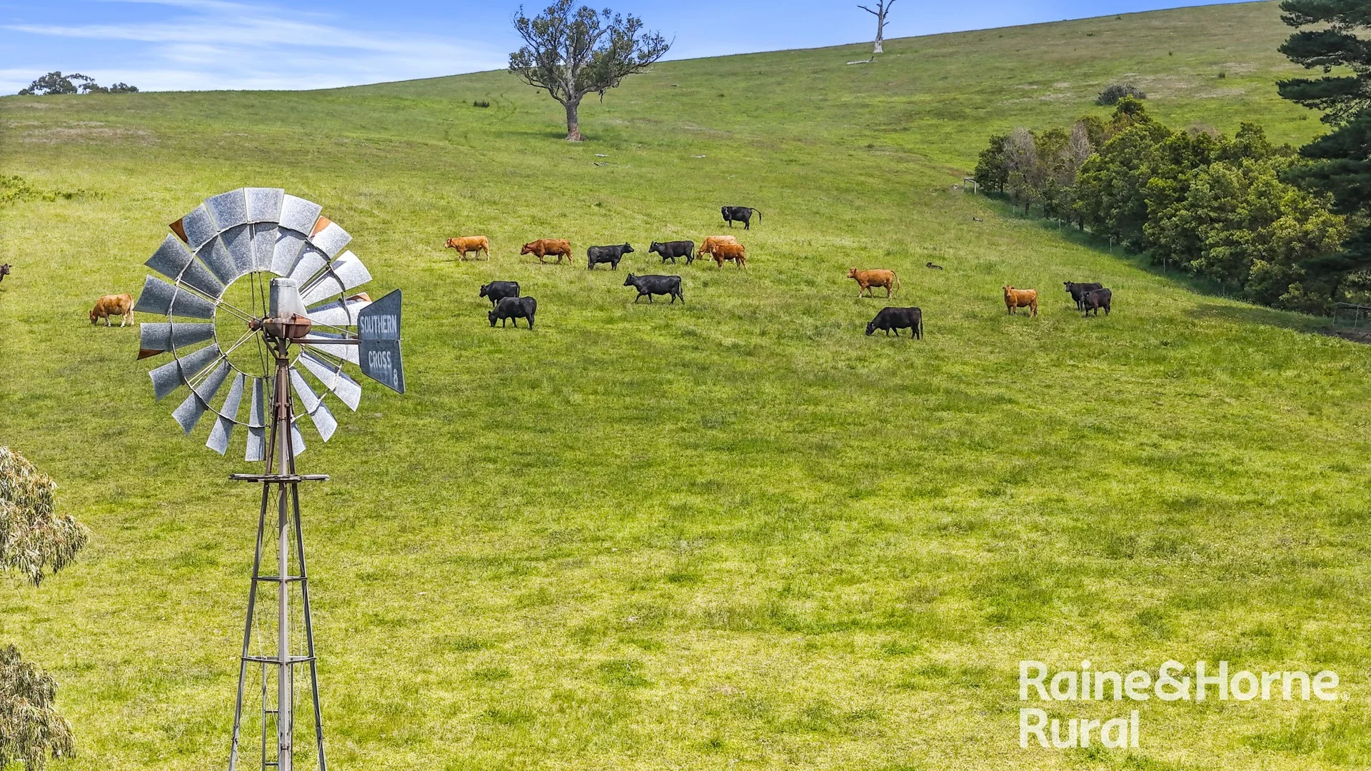 Additional image 2 of 83 Cressbrook Road, Hindmarsh Valley SA 5211