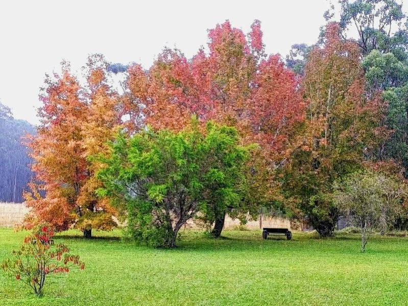 Additional image 31 of 427 Markwell Back Road, Bulahdelah NSW 2423