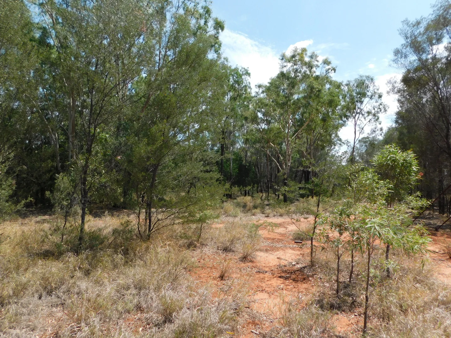 Additional image 15 of Lot 5 Mitchell Highway, Charleville QLD 4470