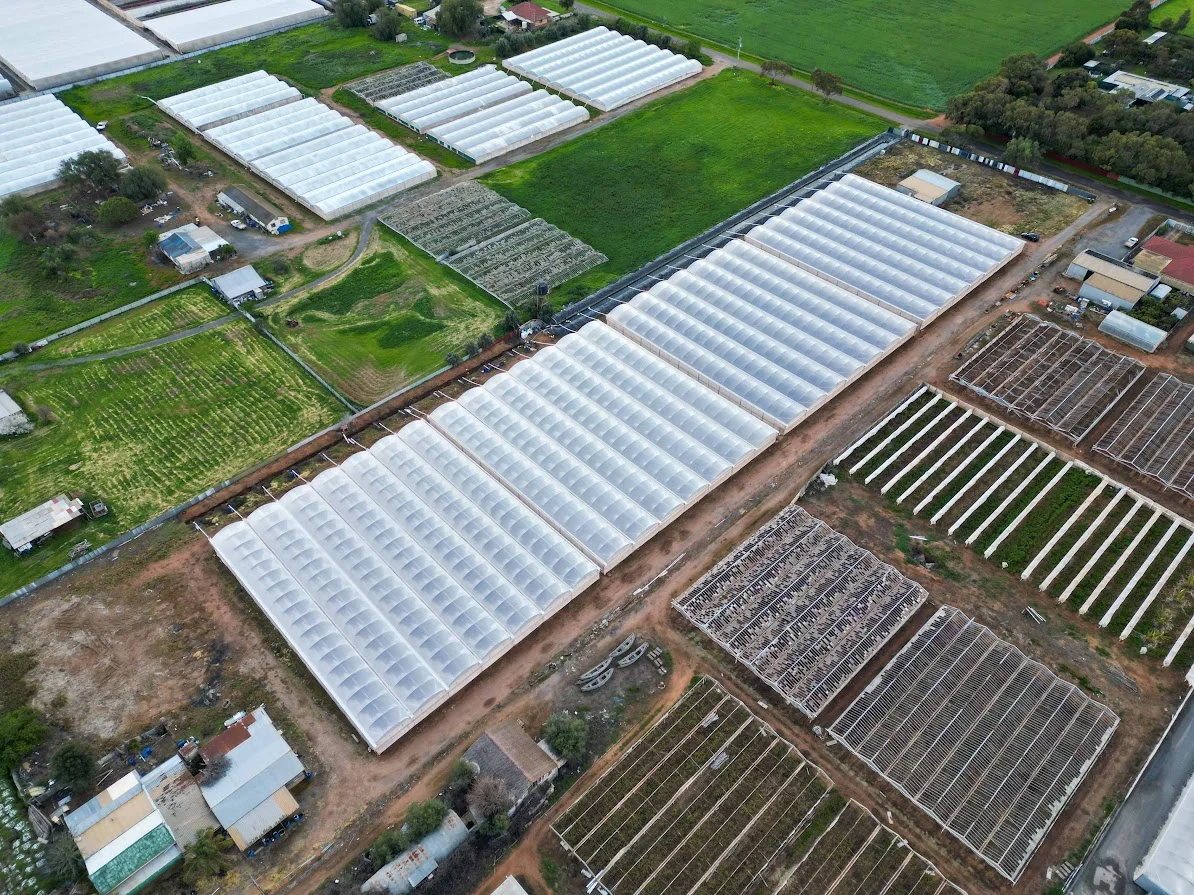 Additional image 2 of 56 Rowland Road, Virginia SA 5120