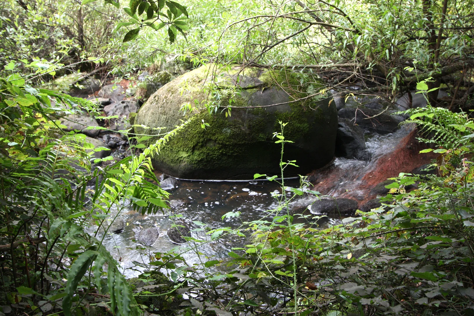 Additional image 10 of 273 Boolarra-Foster Road, Foster VIC 3960