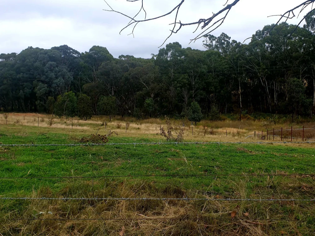 Additional image 4 of 81 Lindsay Street, Hargraves NSW 2850