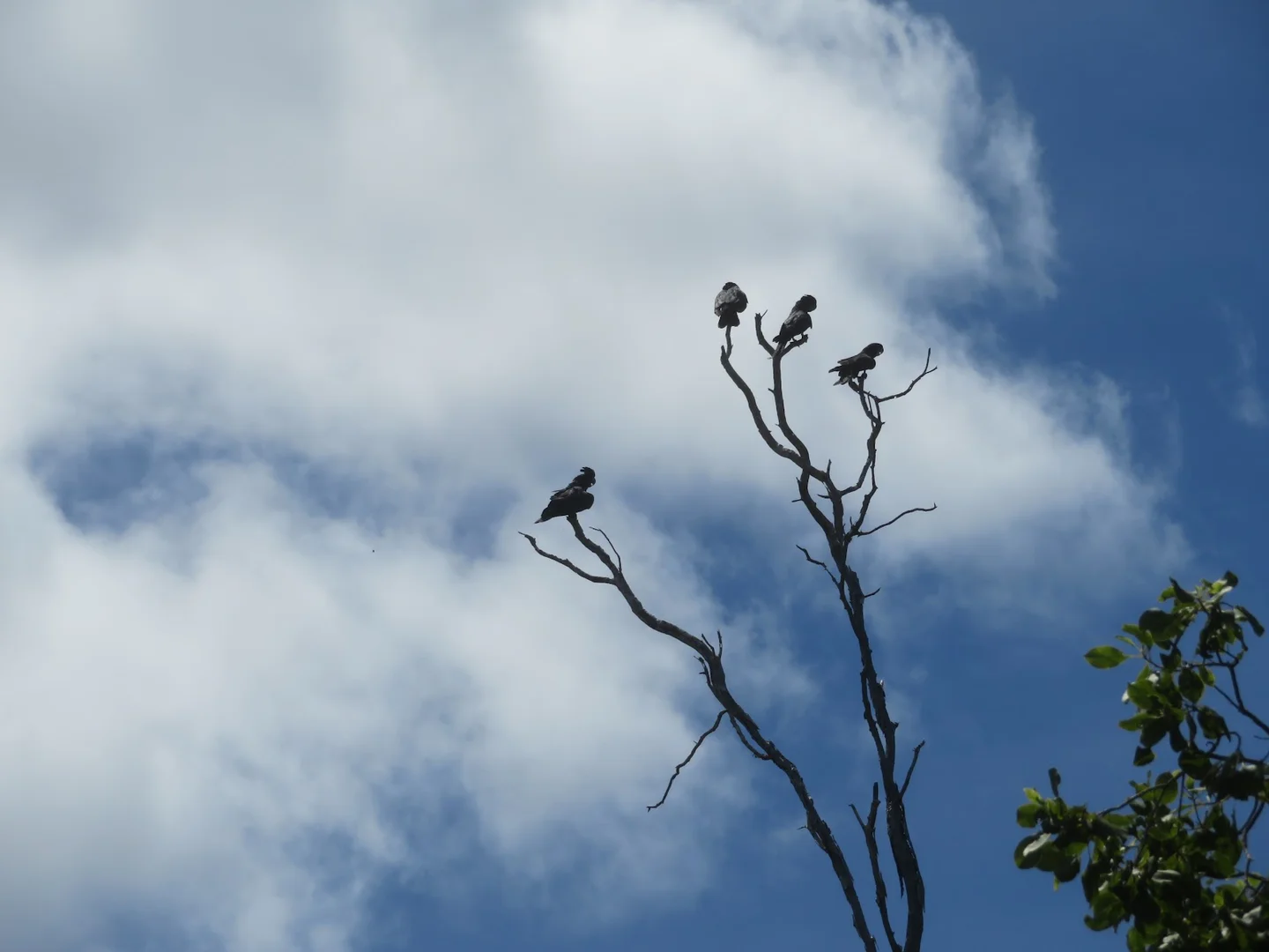 Additional image 36 of 2 Bolwarra Road, Chillagoe QLD 4871