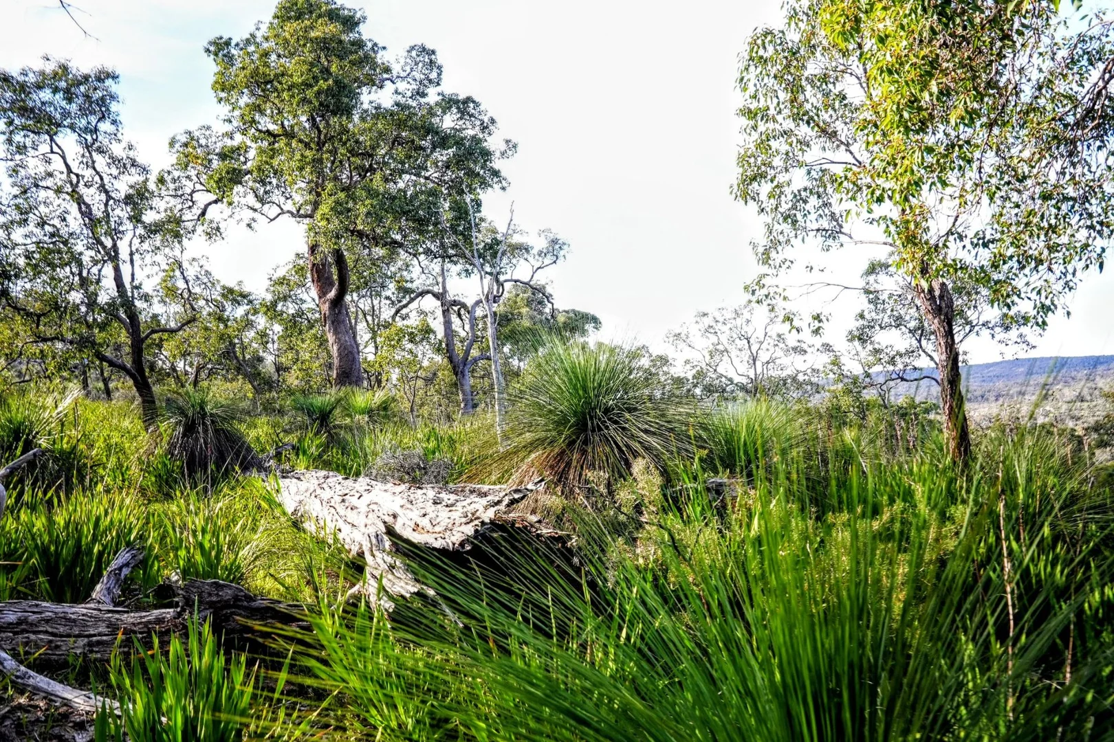 Additional image 16 of 245 Pechey Road, Swan View WA 6056