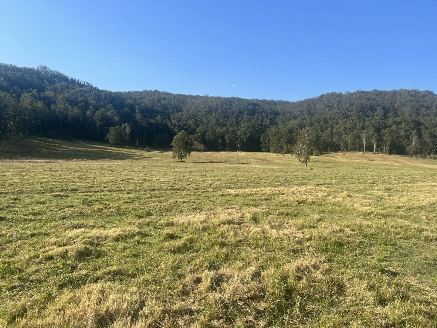 2374 Upper Mongogarie Road, Upper Mongogarie NSW 2470