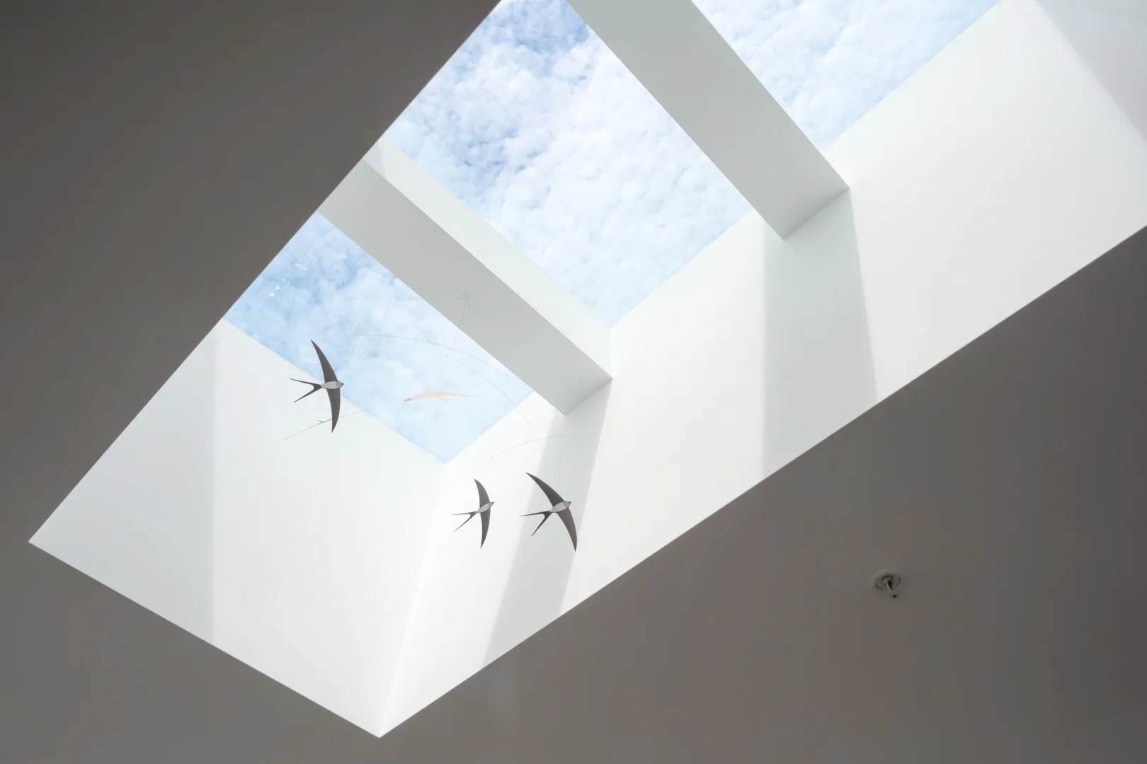 Additional image 3 of 1306/159 Epping Road, Macquarie Park NSW 2113