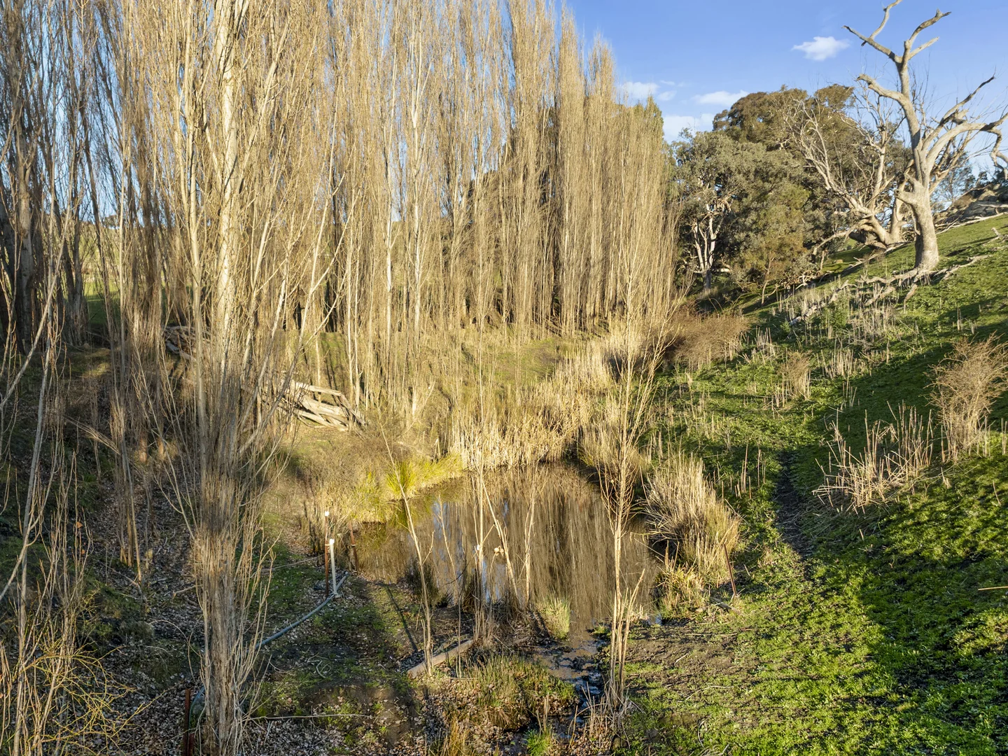 Additional image 42 of 304 Sheans Creek Road, Sheans Creek VIC 3666