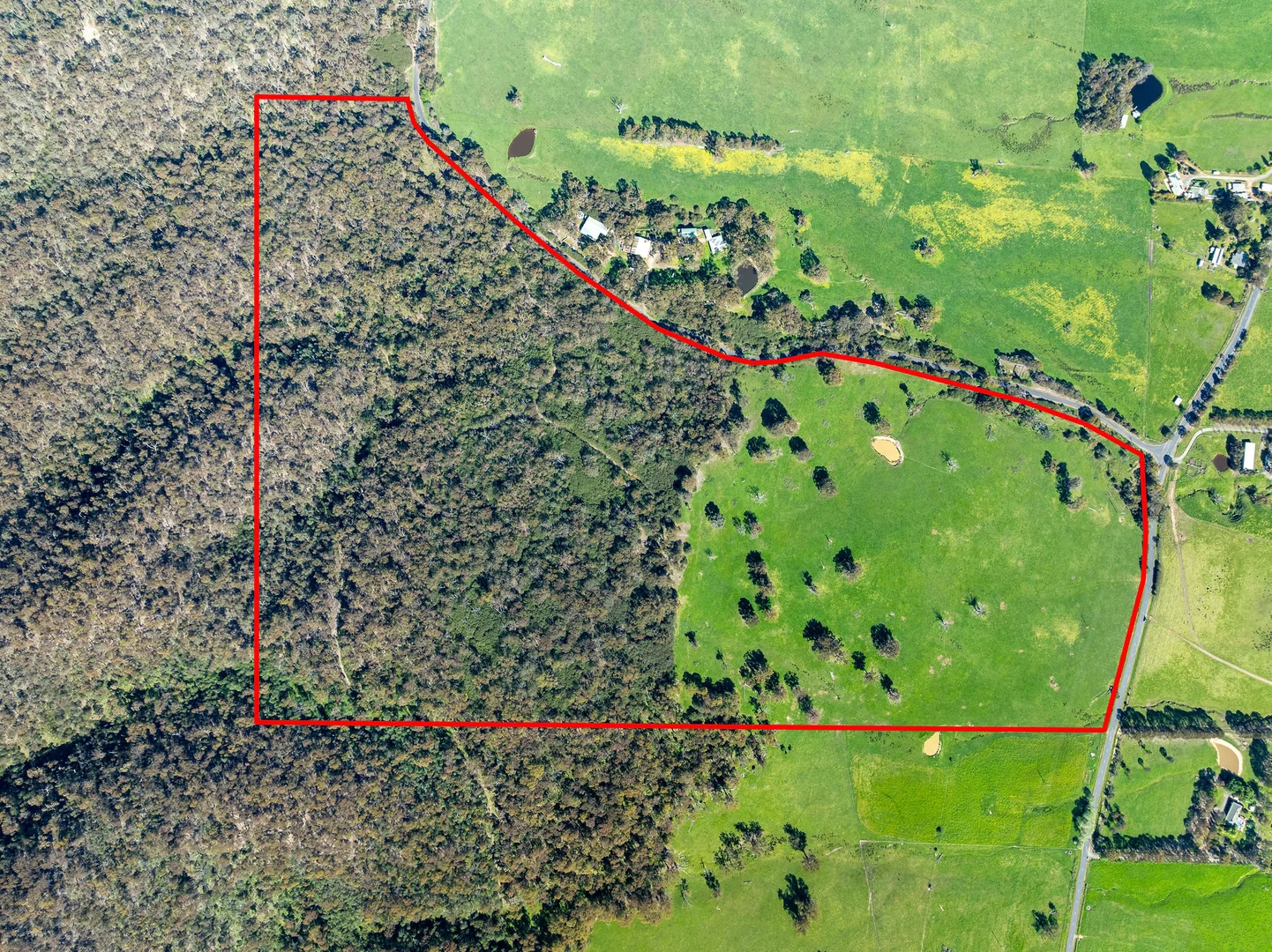 Additional image 3 of 368 Rubicon Road, Rubicon VIC 3712