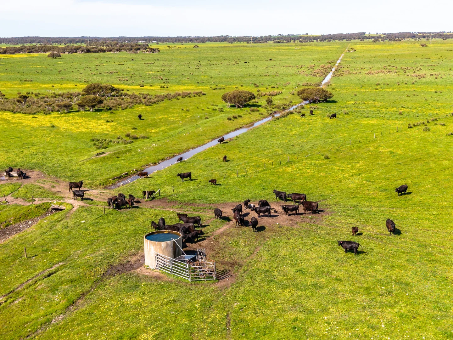 Additional image 20 of 641 Minnie Crowe Road, Avenue Range SA 5273