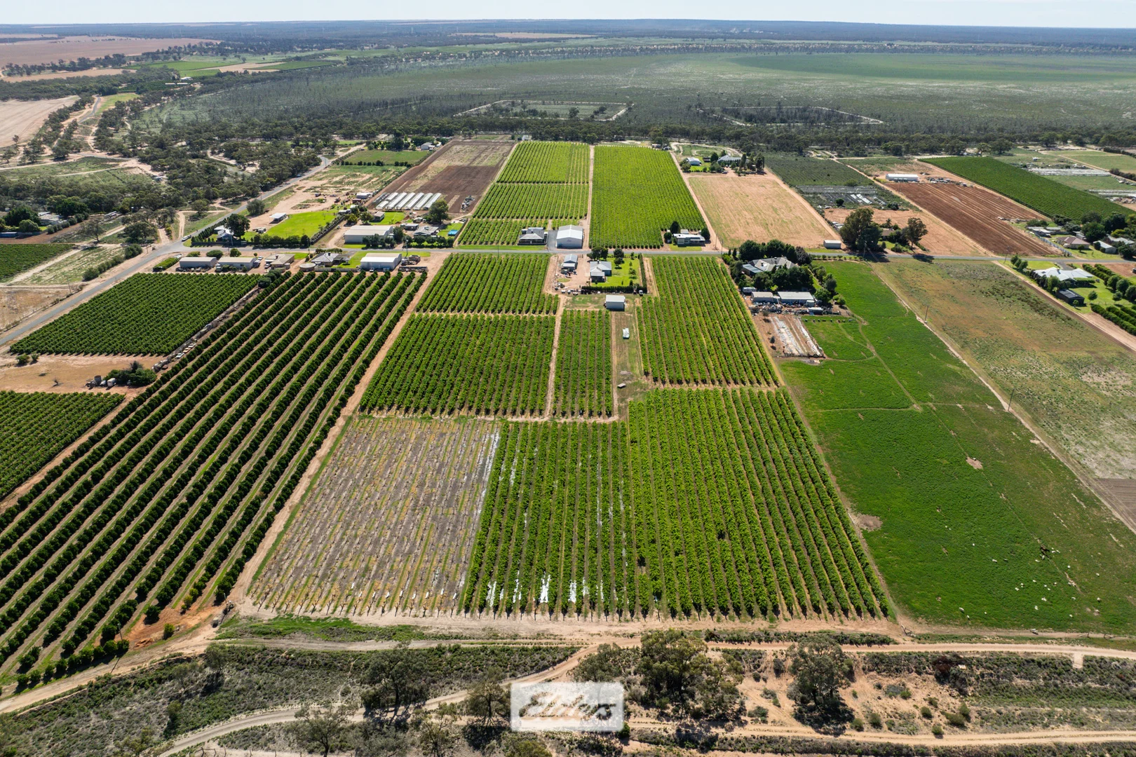 Additional image 38 of 388 Gol Gol North Road, Gol Gol NSW 2738