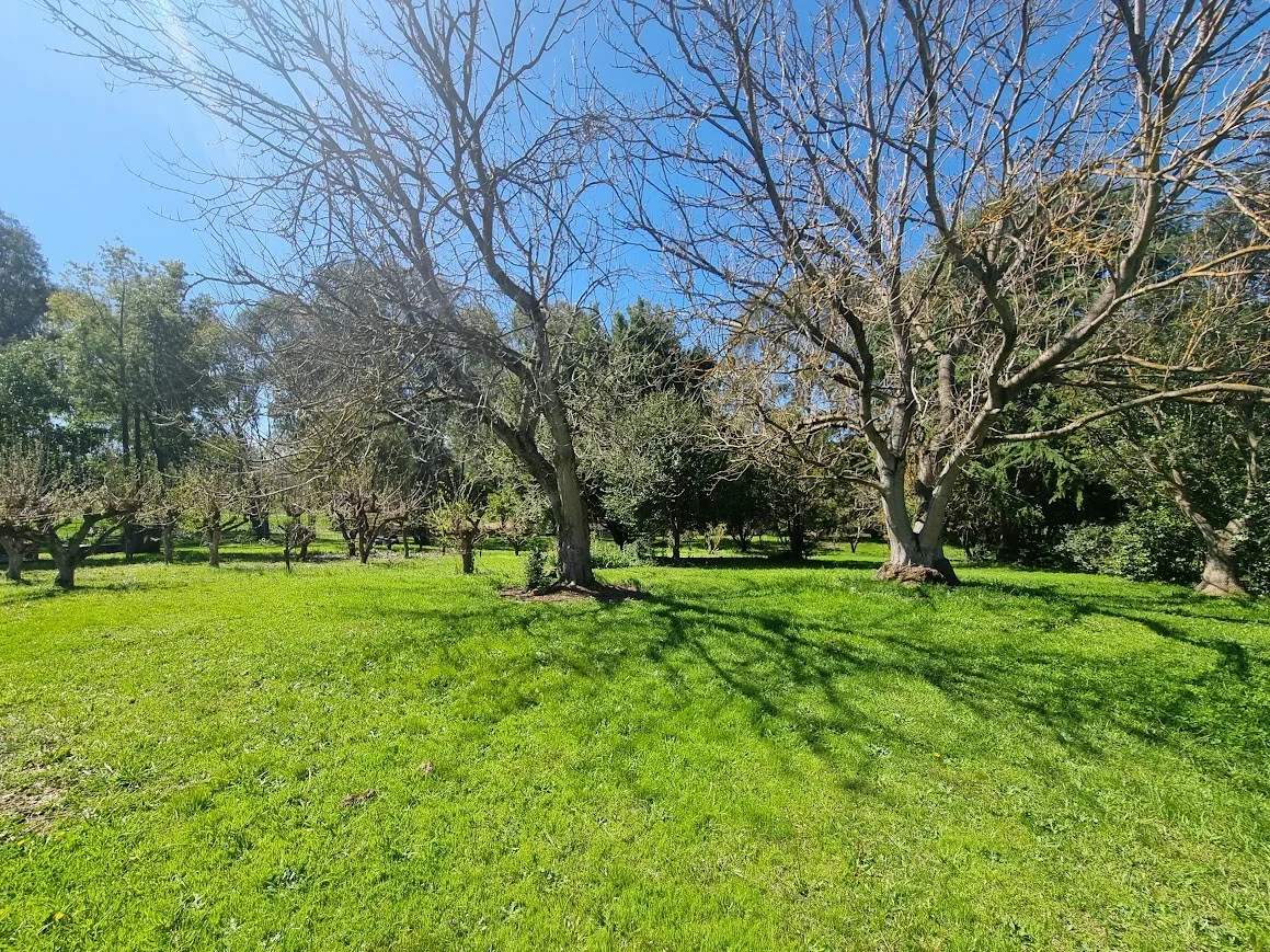 Additional image 16 of 1924 Adelong Road, Tumblong NSW 2729