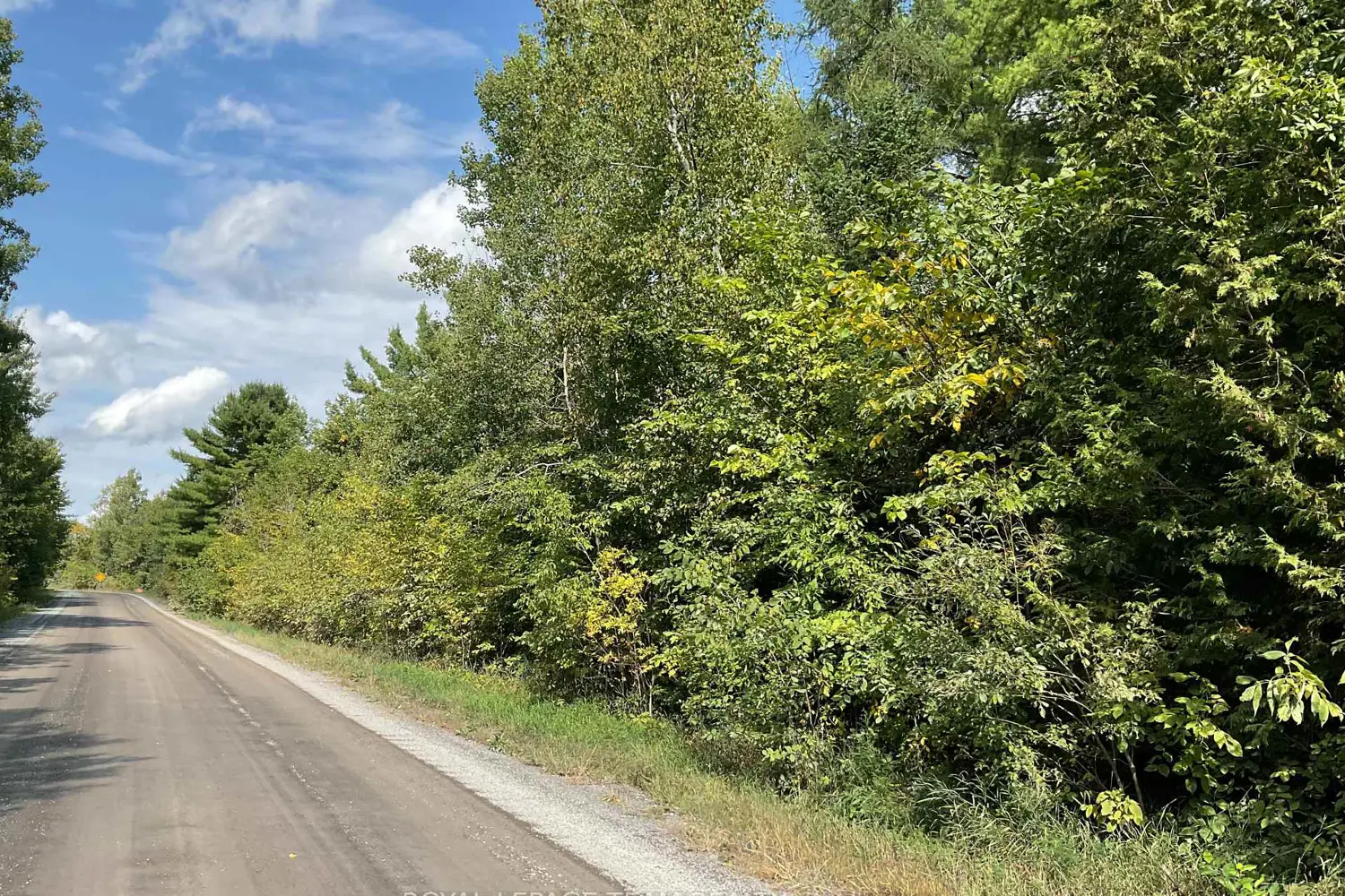 Additional image 2 of 1170 Bellamy Road