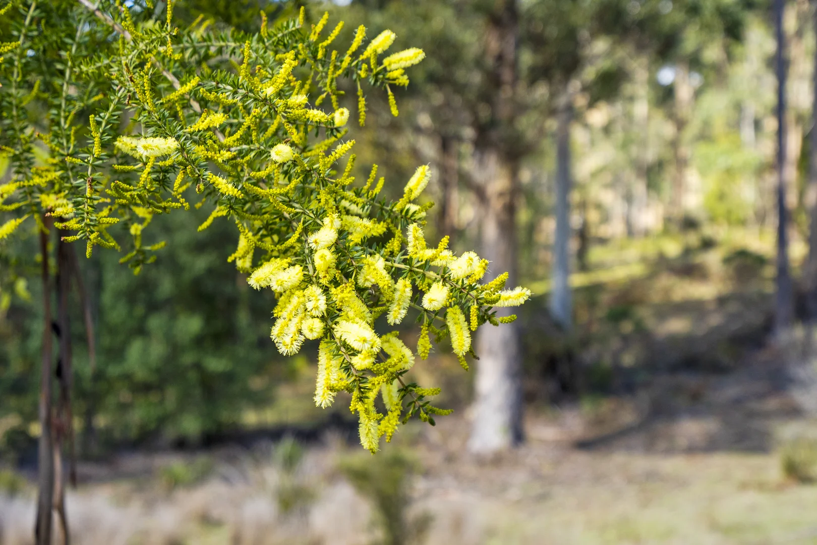 Additional image 29 of 129 Littles Road, Premaydena TAS 7185