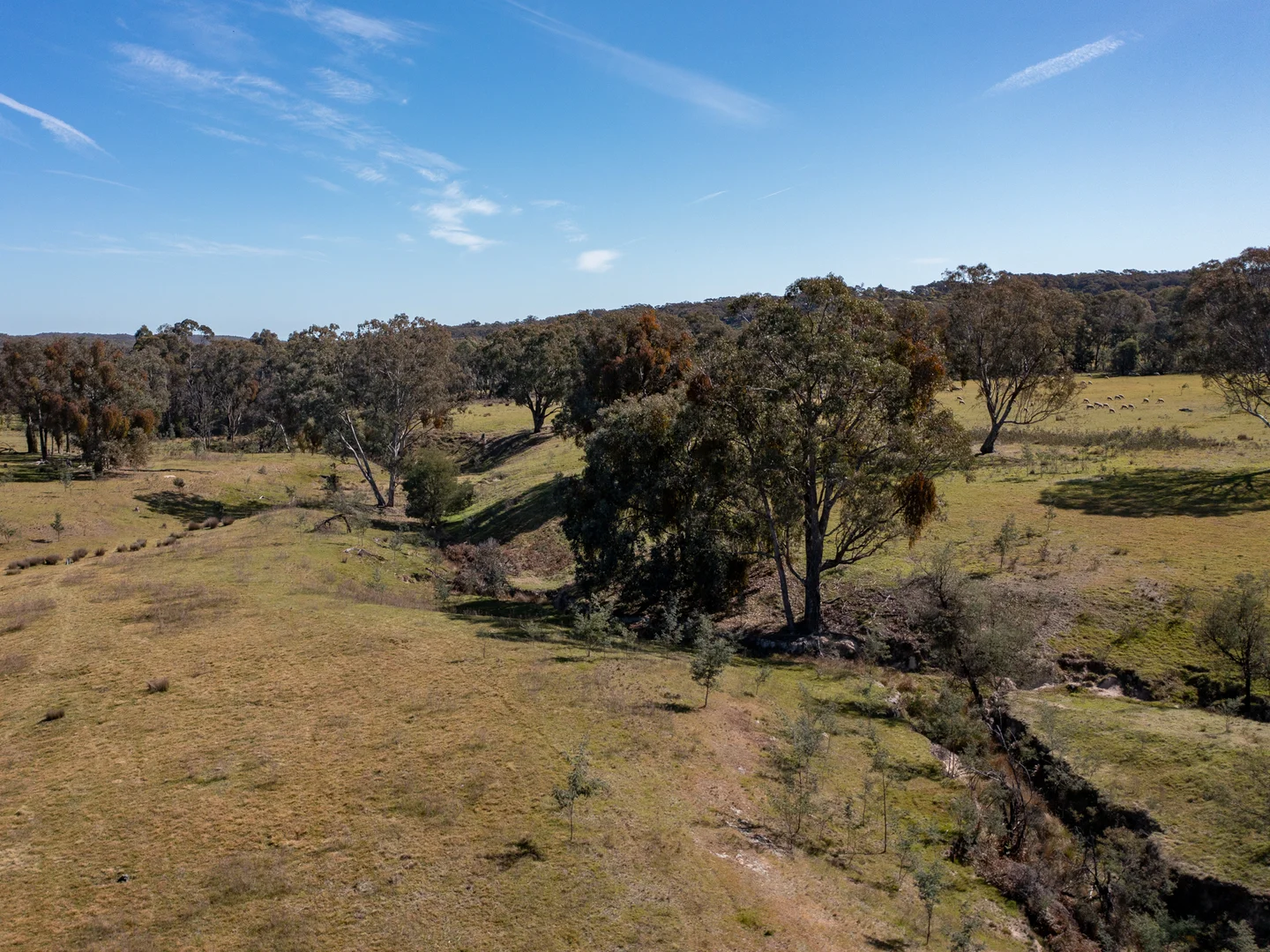 Additional image 6 of 3/7 East Triangle Road, Byawatha VIC 3678