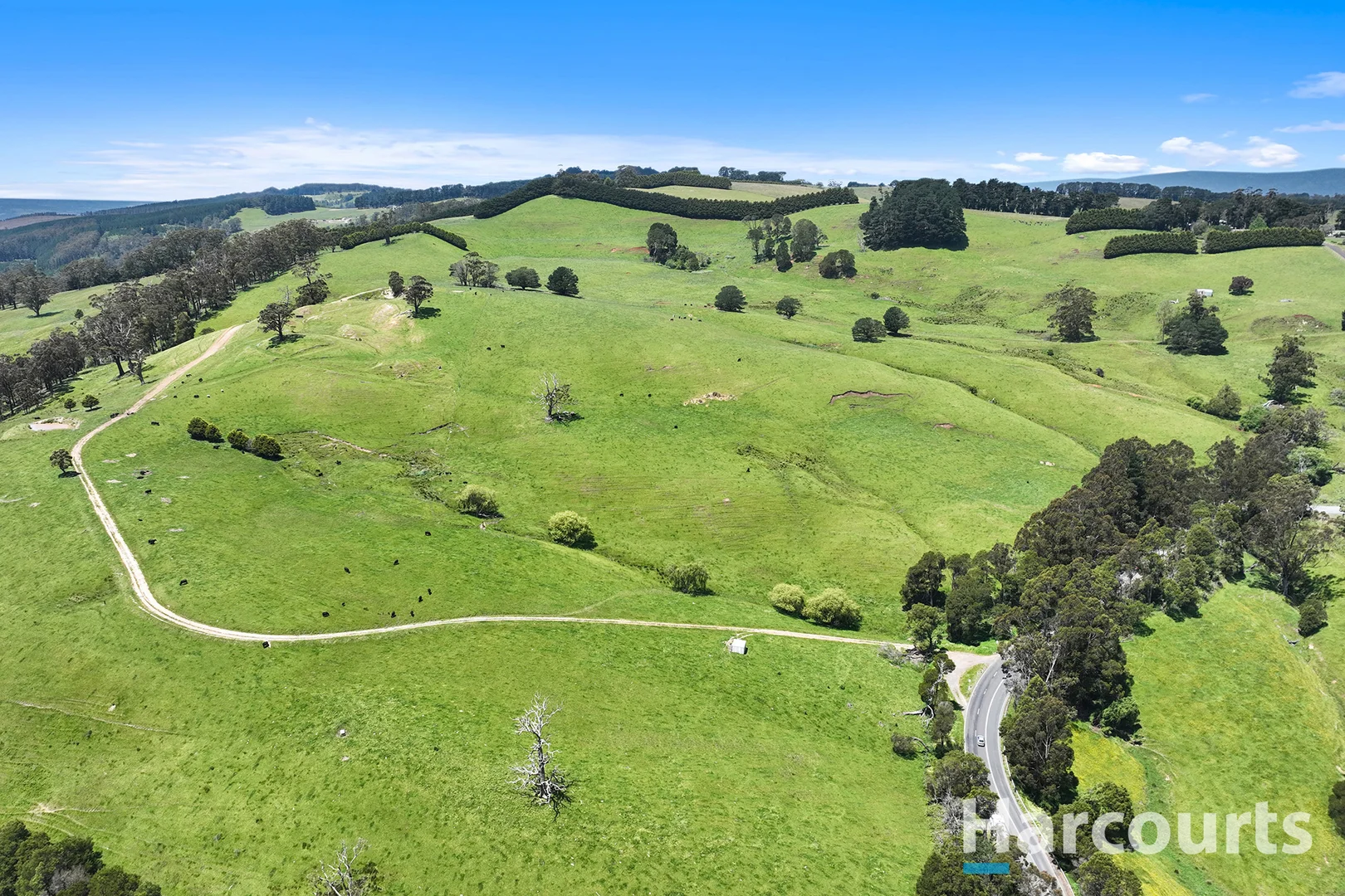 Additional image 18 of 1246 Trafalgar Thorpdale Road, Trafalgar South VIC 3824