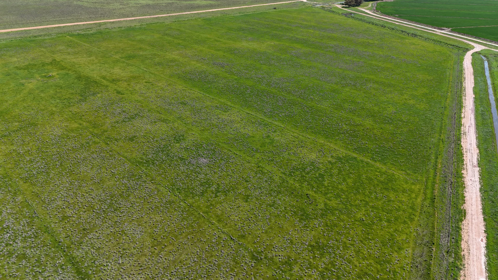 Additional image 2 of 75 Leonard Road, Coleambally NSW 2707