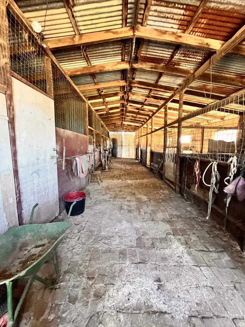 Additional image 37 of 29-31 Show Street, Forbes NSW 2871