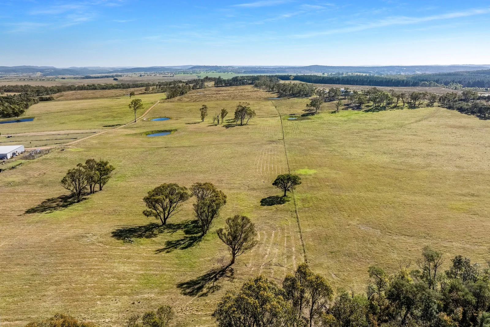 Additional image 36 of 97 Graham Lane, Carrick NSW 2580