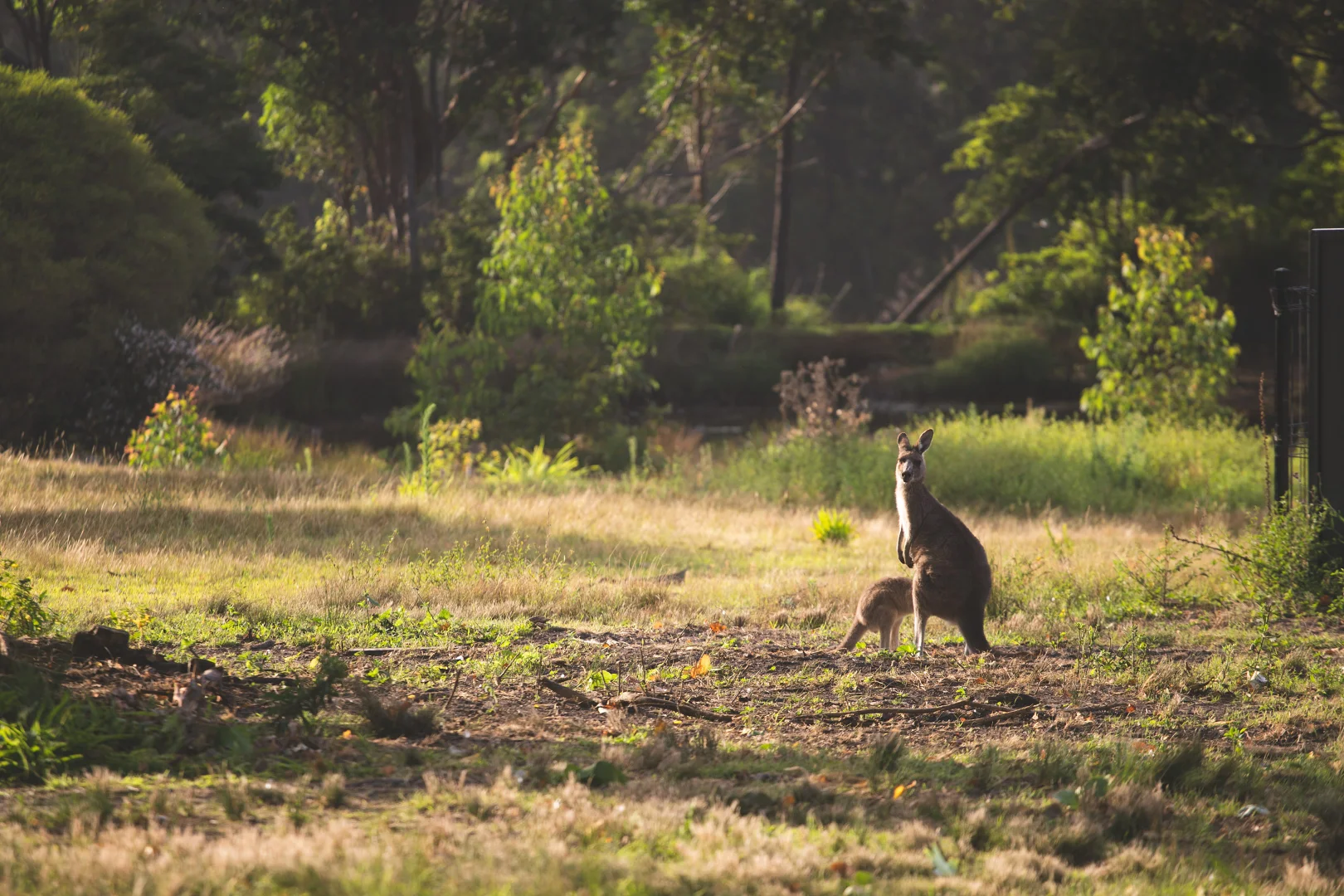 Additional image 19 of 1 to 6/33 Forest Road, Kioloa NSW 2539