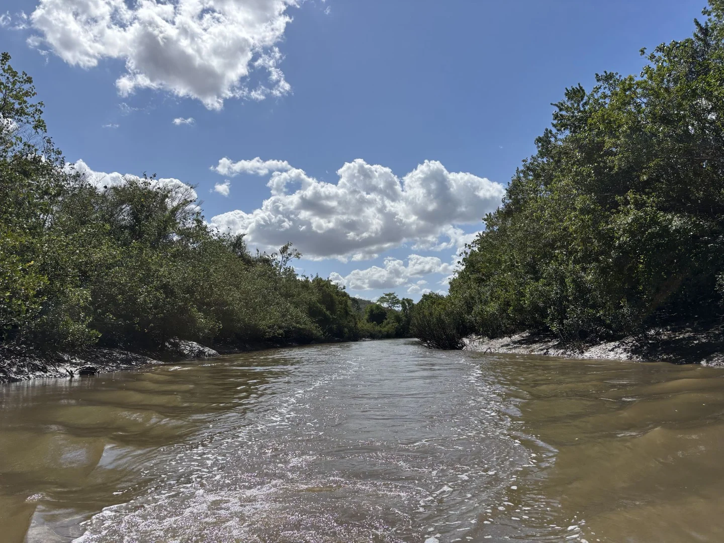 Additional image 20 of 104 Mount Ossa Seaforth Road, Mount Ossa QLD 4741