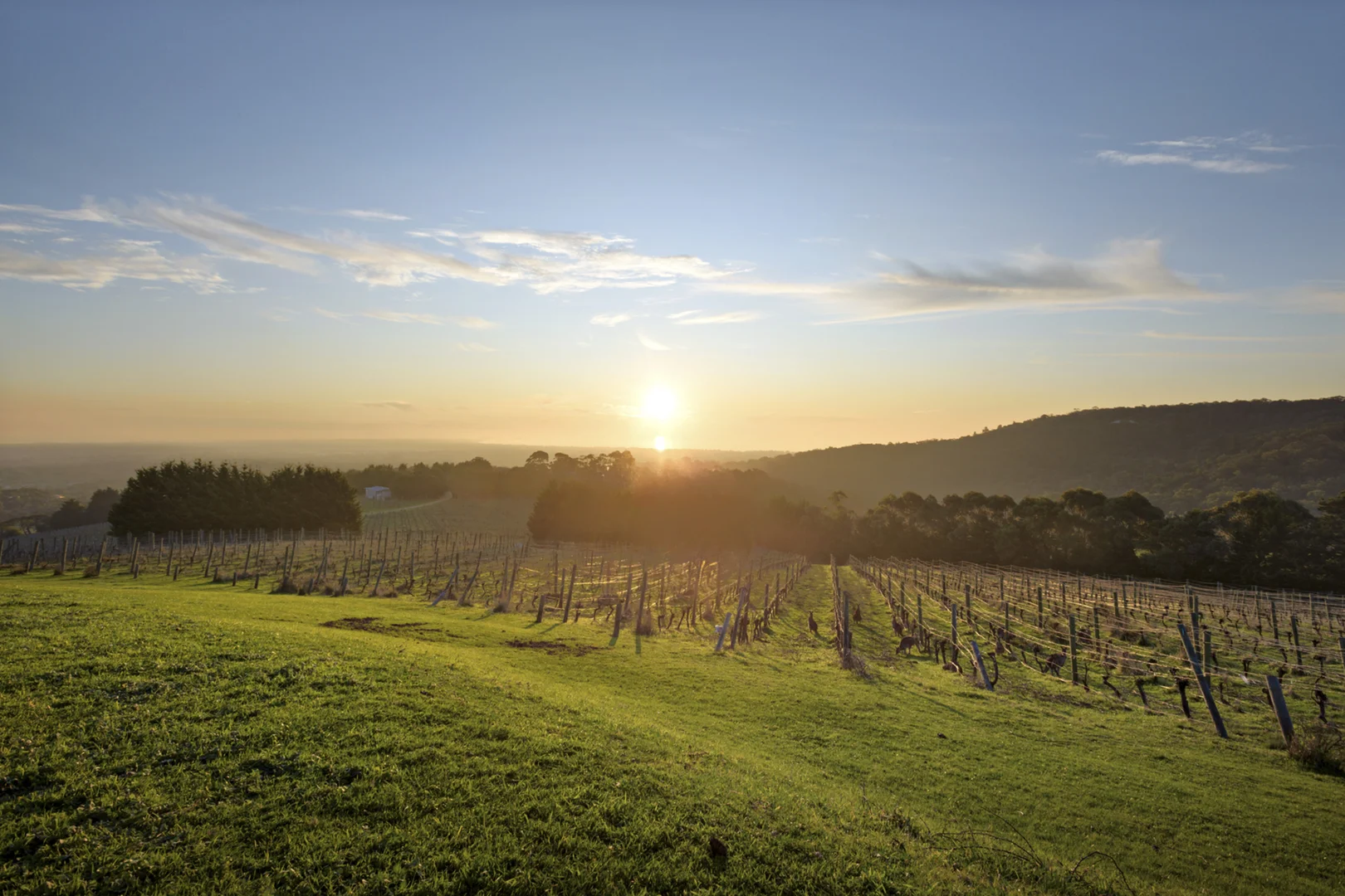 Additional image 22 of 155 Gardens Road, Rosebud VIC 3939