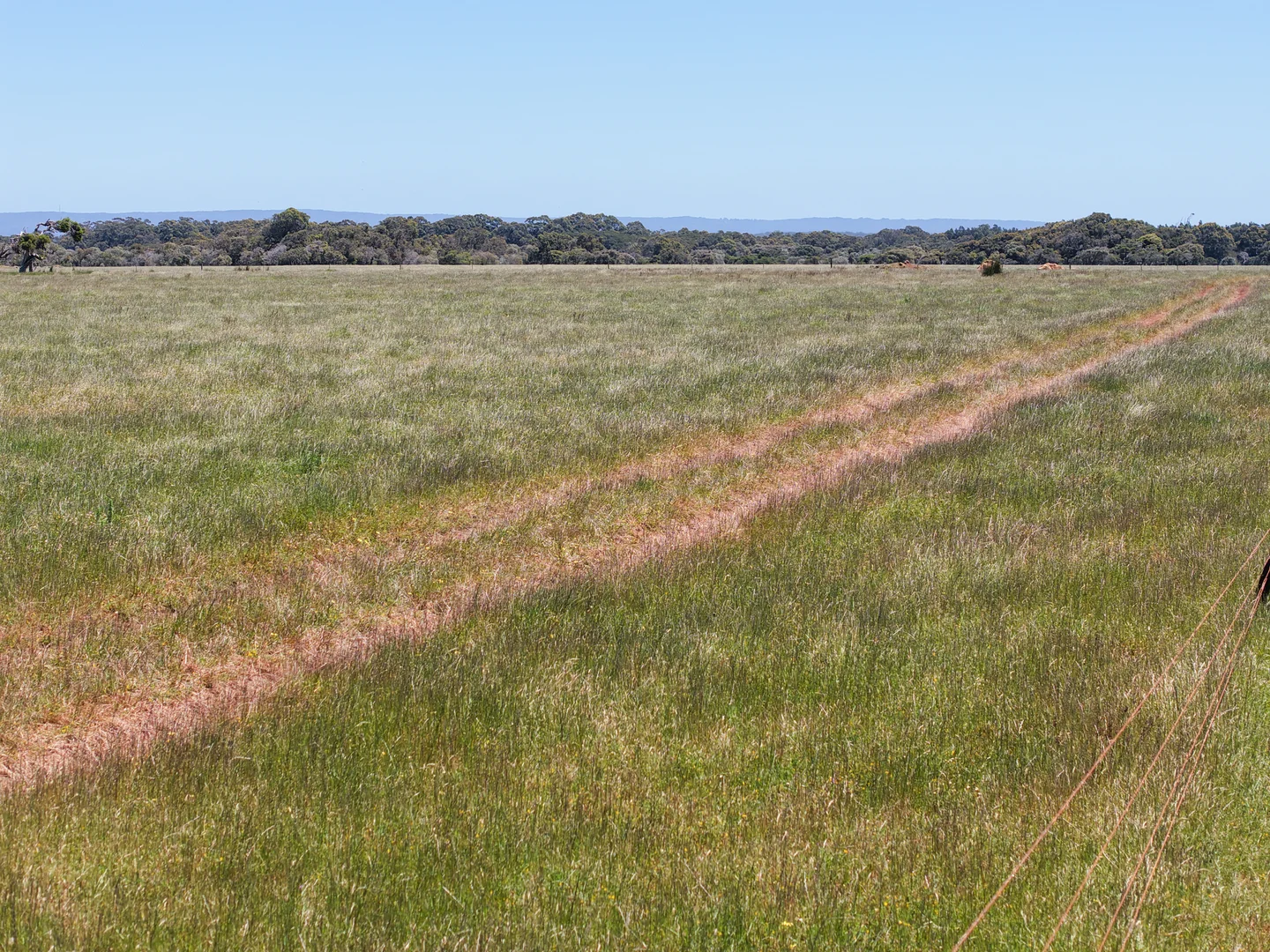 Additional image 12 of Lot 1 Coostien Road, Scott River WA 6288