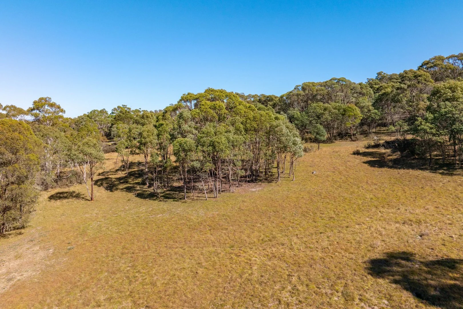 Additional image 14 of 91 Rosehill Road, Bombala NSW 2632