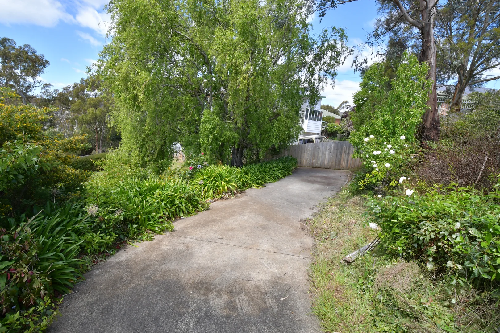 Additional image 6 of 47 Ripley Road, West Moonah TAS 7009