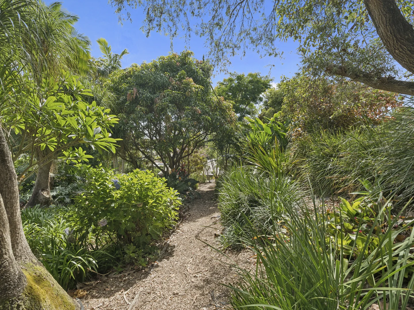 Additional image 27 of 39a Kratz Drive, Coffs Harbour NSW 2450