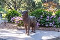 Additional image 51 of 10 9th Ave Apt 107, San Mateo, CA, 94401