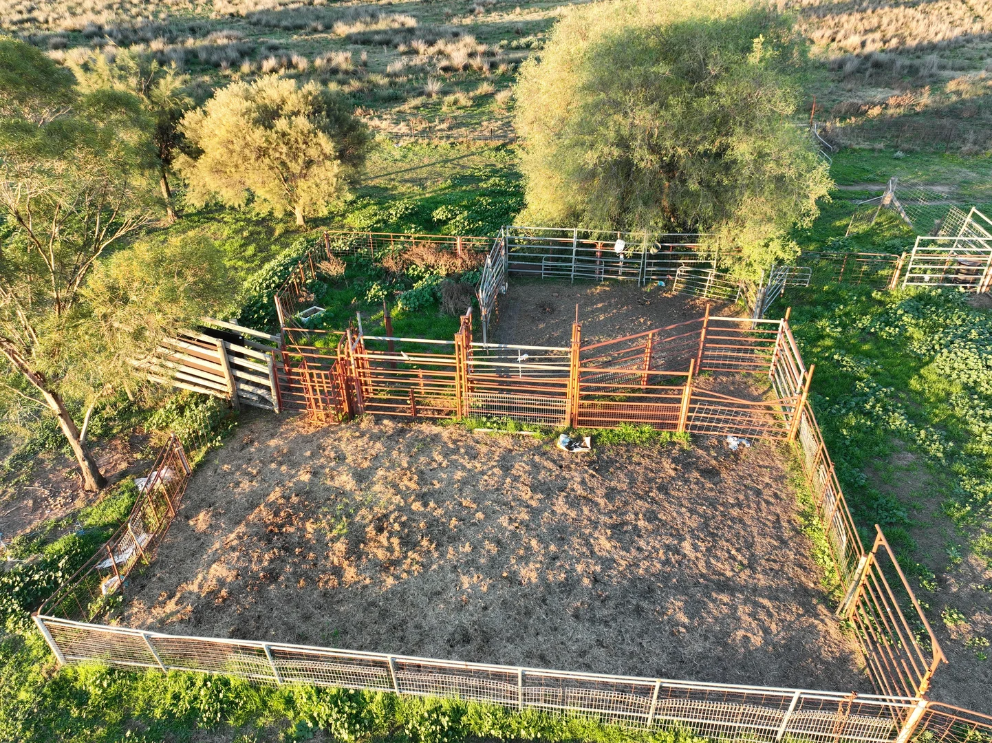 Additional image 21 of 'Westdale' 169L Narromine Road, Dubbo NSW 2830